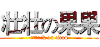 壮壮の果果 (attack on titan)