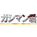 ガシマン君 ()