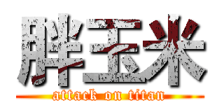 胖玉米 (attack on titan)