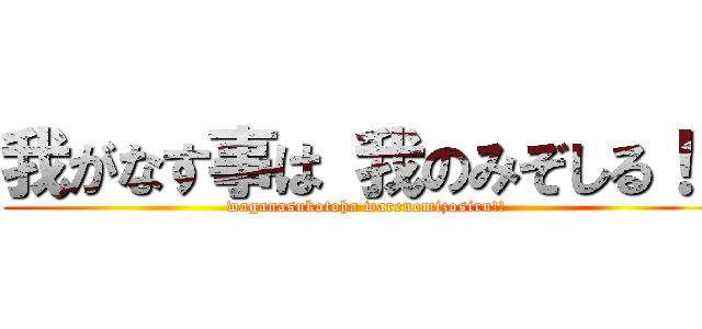 我がなす事は 我のみぞしる！！ (waganasukotoha warenomizosiru!!)