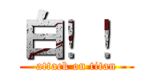 白！！ (attack on titan)