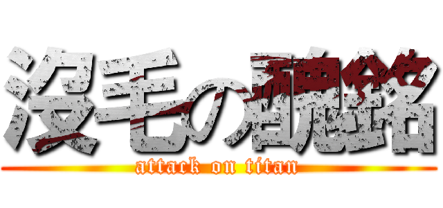 沒毛の醜銘 (attack on titan)