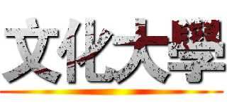 文化大學 ()
