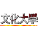 文化大學 ()