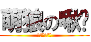 萌狼の啾咪 (＞＿＿＿＿ｏ)