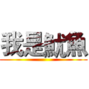 我是魷魚 ()