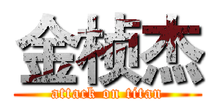 金桢杰 (attack on titan)