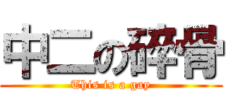 中二の碎骨 (This is a gay)