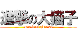 進撃の大猫子 (attack on phixcat)