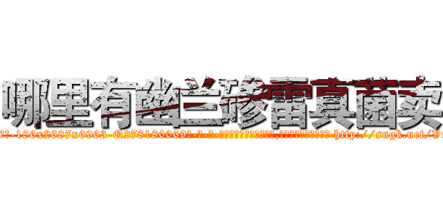哪里有幽兰碜雷真菌卖 (哪里有幽兰碜雷真菌卖【电-186x2687x6963-Q278180069元-吉-药-业】我们做的是长期生意,靠的是老客户长期支持 http://sngk.net/VeNPTX
)