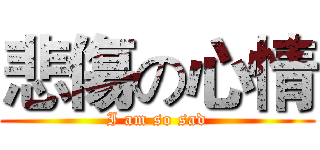 悲傷の心情 (I am so sad)
