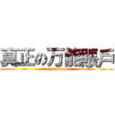 真正の万能賬戶 (true universal)