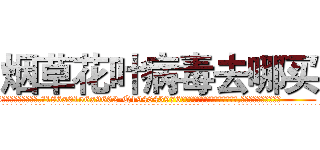 烟草花叶病毒去哪买 (烟草花叶病毒去哪买【电.话186x0156x9662-Q194843976林氏药业】我们做的是长期生意,靠的是老客户长期支持
参考消息网2月20日报道 韩媒称，“剩女多、离婚率高的城市，房价一定会上涨。”这是中国经济学家金岩石2016年12月参加在上海举行的房地产相关论坛时说的话。
)
