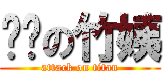 傻傻の竹姨 (attack on titan)