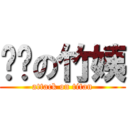 傻傻の竹姨 (attack on titan)