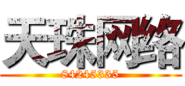 天珠网络 (84245335)