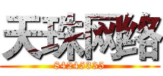 天珠网络 (84245335)