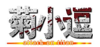 菊小逗 (attack on titan)