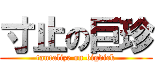 寸止の巨珍 (tantalize on bigdick)