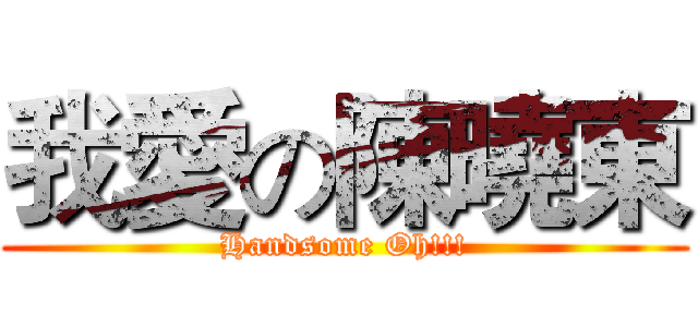 我愛の陳曉東 (Handsome Oh!!!)
