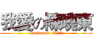 我愛の陳曉東 (Handsome Oh!!!)