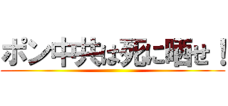 ポン中共は死に晒せ！ ()