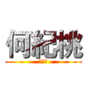 何紀桃 (好靚女)