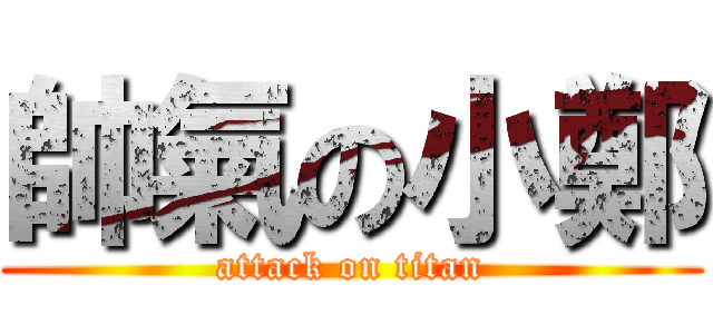 帥氣の小鄭 (attack on titan)