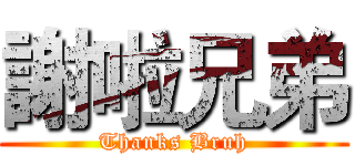 謝啦兄弟 (Thanks Bruh)
