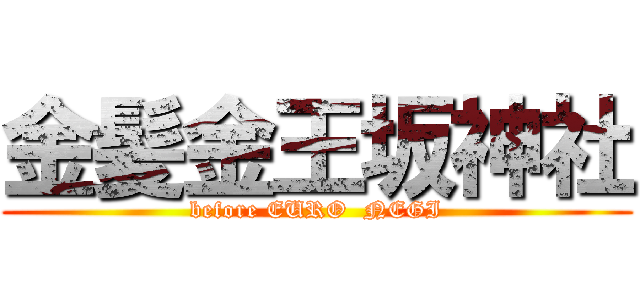 金髪金王坂神社 (before EURO  NEGI)