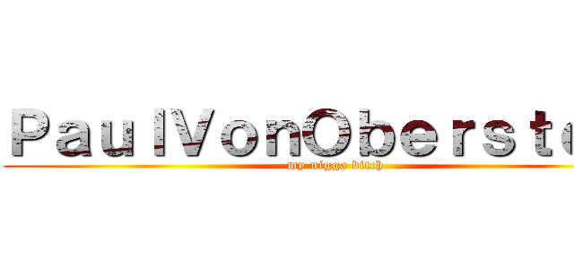 ＰａｕｌＶｏｎＯｂｅｒｓｔｅｉｎ (my nigga bitch)