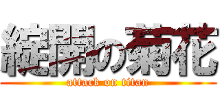 綻開の菊花 (attack on titan)