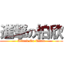 進撃の柏欣 (Attack On Titan)
