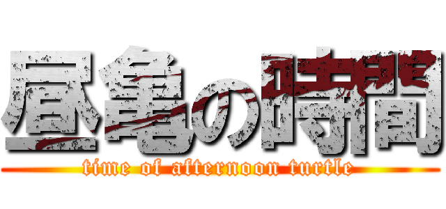 昼亀の時間 (time of afternoon turtle)