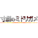 寸劇のミドリガメ (attack on titan)