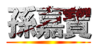 孫嘉寶 ()