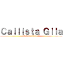 Ｃａｌｌｉｓｔａ Ｇｉｌａ (attack on callista (?))