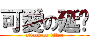 可愛の延鑫 (attack on titan)