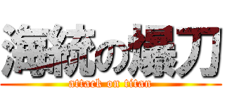 海統の爆刀 (attack on titan)