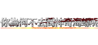 你為何不去問神奇海螺呢？ (Why do not you ask the magic conch it?)