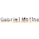 Ｇａｂｒｉｅｌ Ｍｏｌｉｎａ (attack on titan)