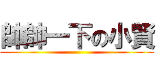 帥帥一下の小賢 ()