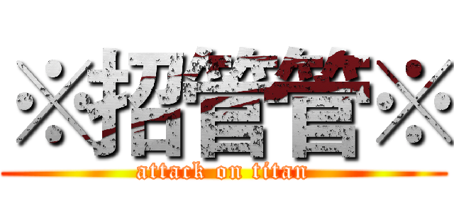 ※招管管※ (attack on titan)