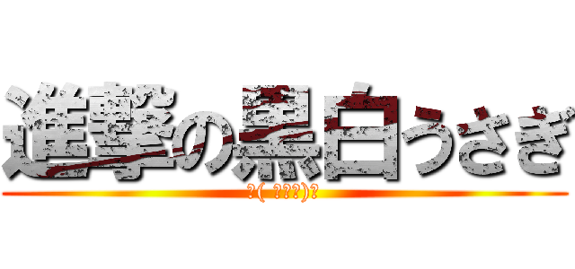 進撃の黒白うさぎ (∠( ﾟдﾟ)／)