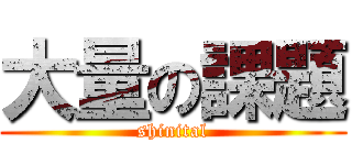 大量の課題 (shinital)
