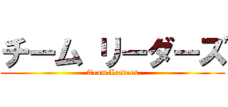 チーム リーダーズ (Team Leaders)