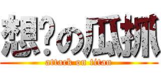 想你の瓜抓 (attack on titan)