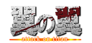 翼の翼 (attack on titan)