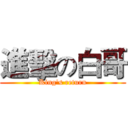 進擊の白哥 (King's return)
