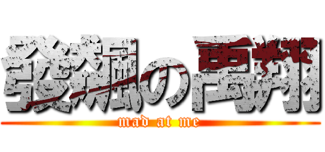 發飆の禹翔 (mad at me)